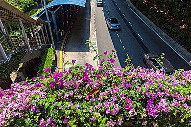 韩国模拟游戏《inZOI》新截图 捏出性感美女玩